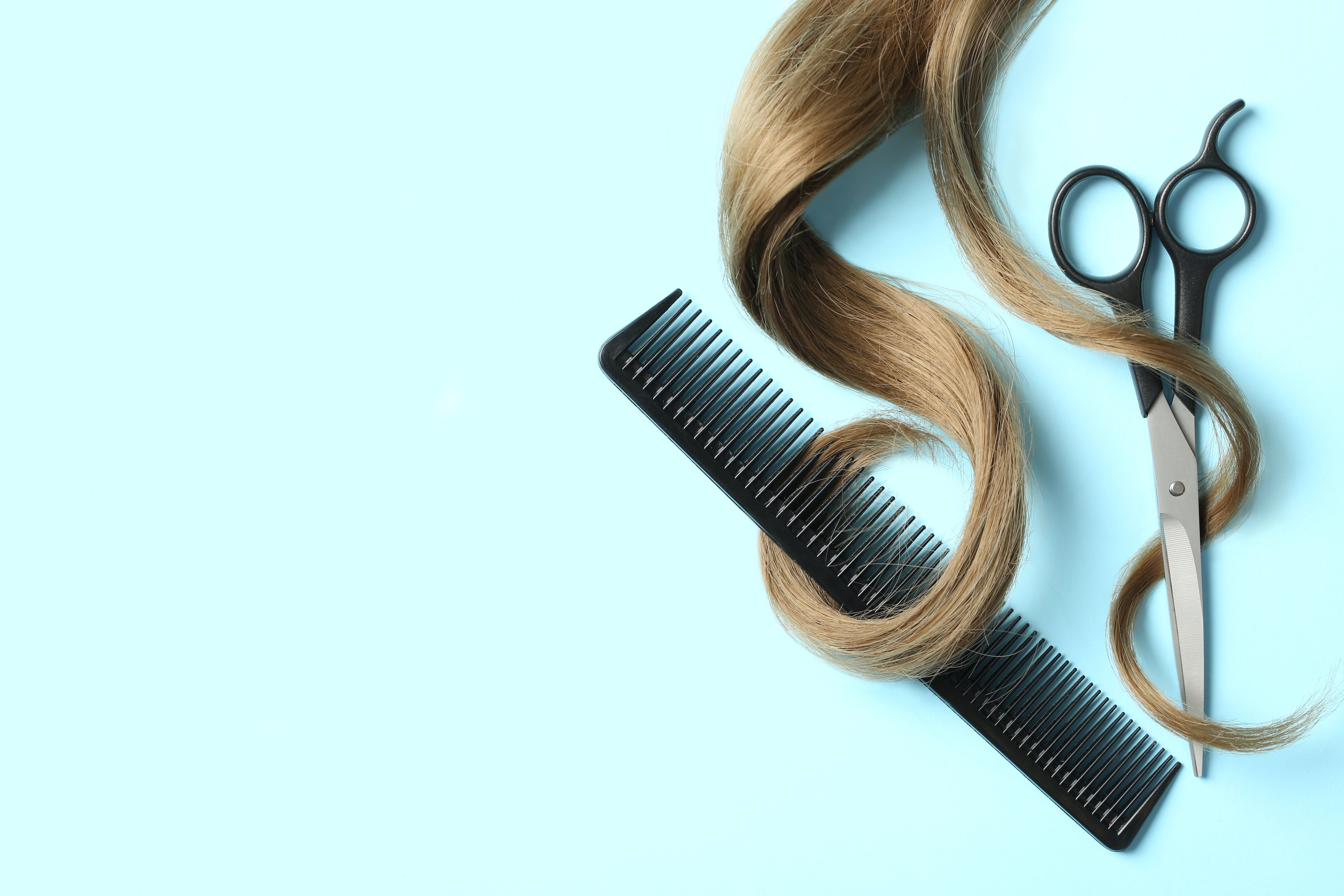 Best hair salon software